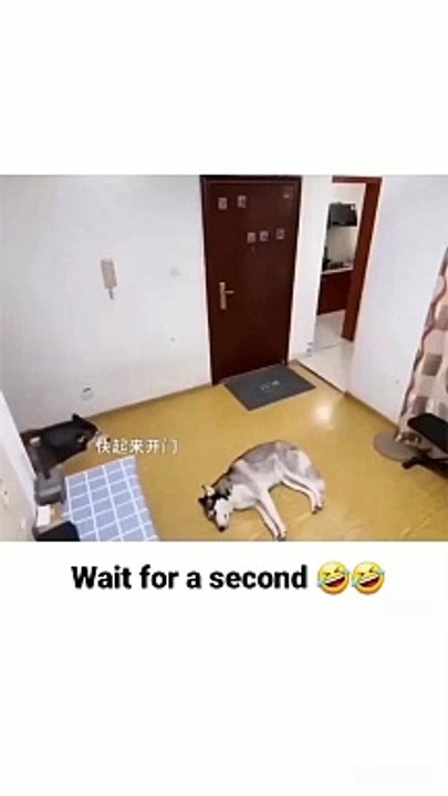 Wait for the end