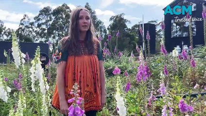 Jacqueline Ward performs Christmas carols with a twist | December 1, 2023 | The Advocate