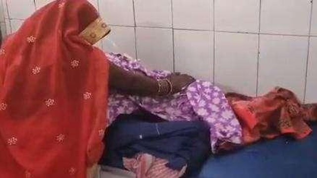 सीतापुर: आवारा कुत्ते का आतंक, बुजुर्ग महिला पर किया हमला,गंभीर