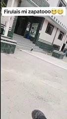 Perrito entra a comisaría y le roba zapato a policía