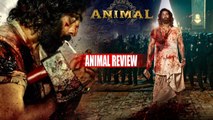 Animal Review సందీప్ రెడ్డి వంగ మరో సక్సెస్ కొట్టాడా Ranbir యాక్టింగ్.. | Telugu Filmibeat