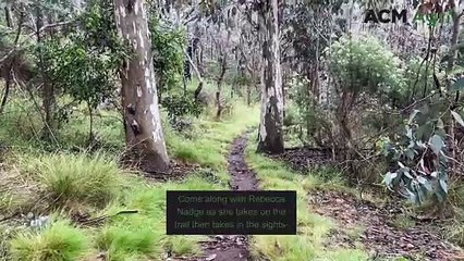 Mount Canobolas nature walk at The Wall
