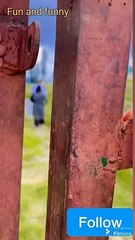 #hilly view #mountai️n #forest view