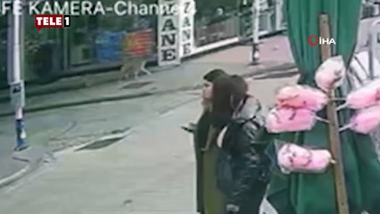 Köpeklerin kovaladığı çocuk felaketten santimetrelerle kurtuldu