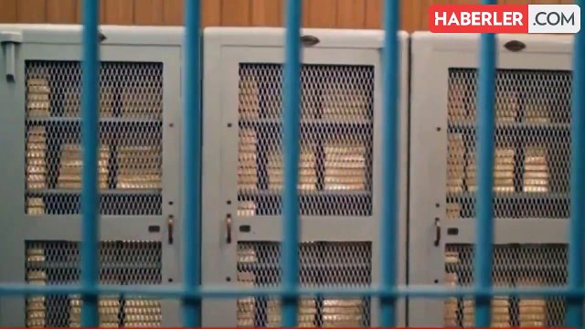 Merkez Bankası'ndan TL mevduata geçişi hızlandırmak için yeni adım