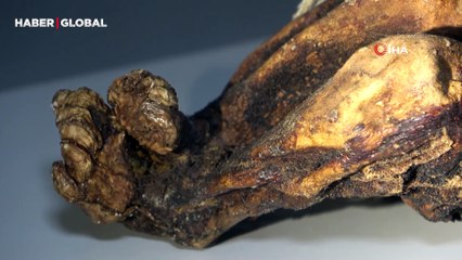 O ilimizde ortaya çıktı! Çocuk, bebek ve kedi mumyaları...