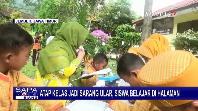 Plafon Atap Kelas Jadi Sarang Ular, Siswa SDN Suci 05 Jember Terpaksa Belajar di Halaman