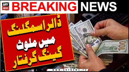 Dollar smuggling me mulawis gang giraftar