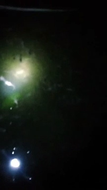 Terutama pada malam hari, cek pH air kolam setelah hujan itu wajib, jangan sampai lengah