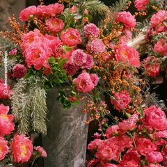 Ce couple d’Américains a dépensé près de 60 millions d’euros pour leur mariage