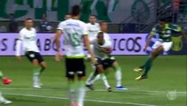 Palmeiras 4-0 Win Against America MG in the  Brazil Serie A