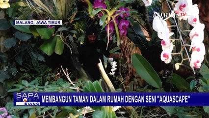 Wow! Beginilah Penampakan Taman di Dalam Rumah dengan Sentuhan Seni Aquascape