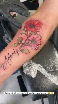 Un dessin représentant l'Adonis goutte-de-sang, une fleur à feuilles finement divisées.Jérôme (L'amour est dans le pré) s'offre un tatouage XXL en hommage à son fils Adonis. Instagram