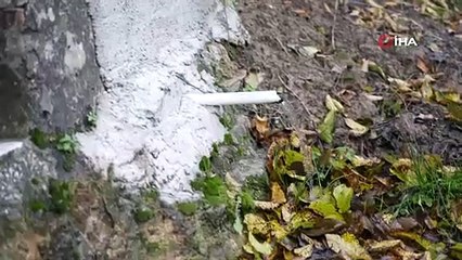 Defineciler hücum edince köylü çareyi böyle buldu