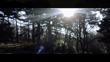 The Jungle Bande-annonce (EN)