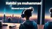 Habibi Ya Muhammad Slowed + Reverb Lo-fi | Soulful Islamic Chill Beats