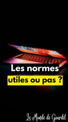 Les normes une mauvaise idée ?