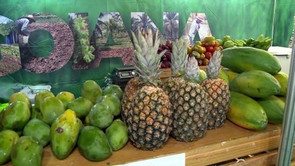 Agrinordeste lança sua 30ª edição no Recife