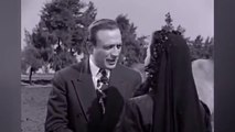 HD فيلم | ( أرضنا الخضراء ) ( بطولة ) ( ماجدة و شكري سرحان و محمود المليجي و حسين رياض ) ( إنتاج عام  1956) كامل بجودة