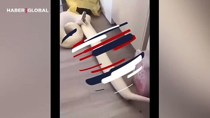 Dışkılarken acı çeken anakondayı görüntülediği anlar sosyal medyayı salladı!