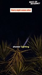 Starry Night Magic: Meteor Shower in Melbourne!  || Best of Internet