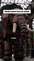 Nantes Mechanical Elephant Roams Toulouse!  || Best of Internet