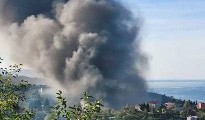Giresun Eynesil'de fabrikada yangın