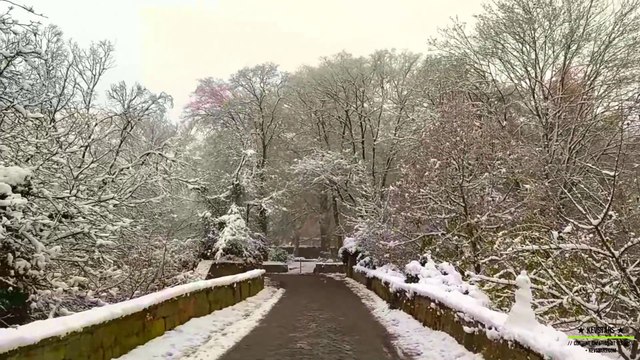 [4K] ★ kevstars.com ★ presents: ❄️ The Winter Wonderland #wintervibes #winterwonderland #winter #winterspecial #shorts #shortsvideo