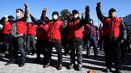 Corea Del Sur Prohíbe El Consumo De Carne De Perro Y Los Ganaderos Protestan