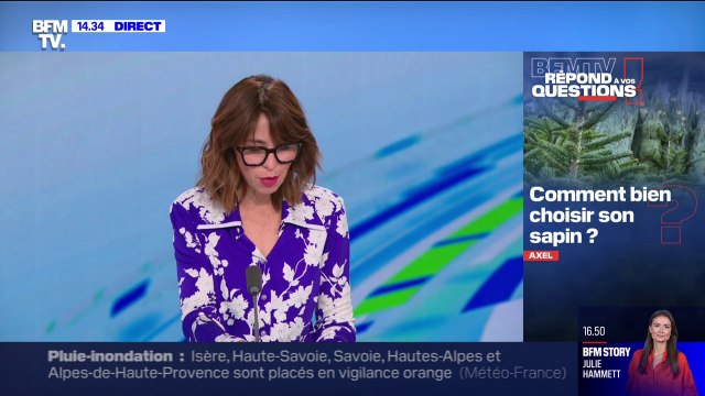 Comment bien choisir son sapin? BFMTV répond à vos questions