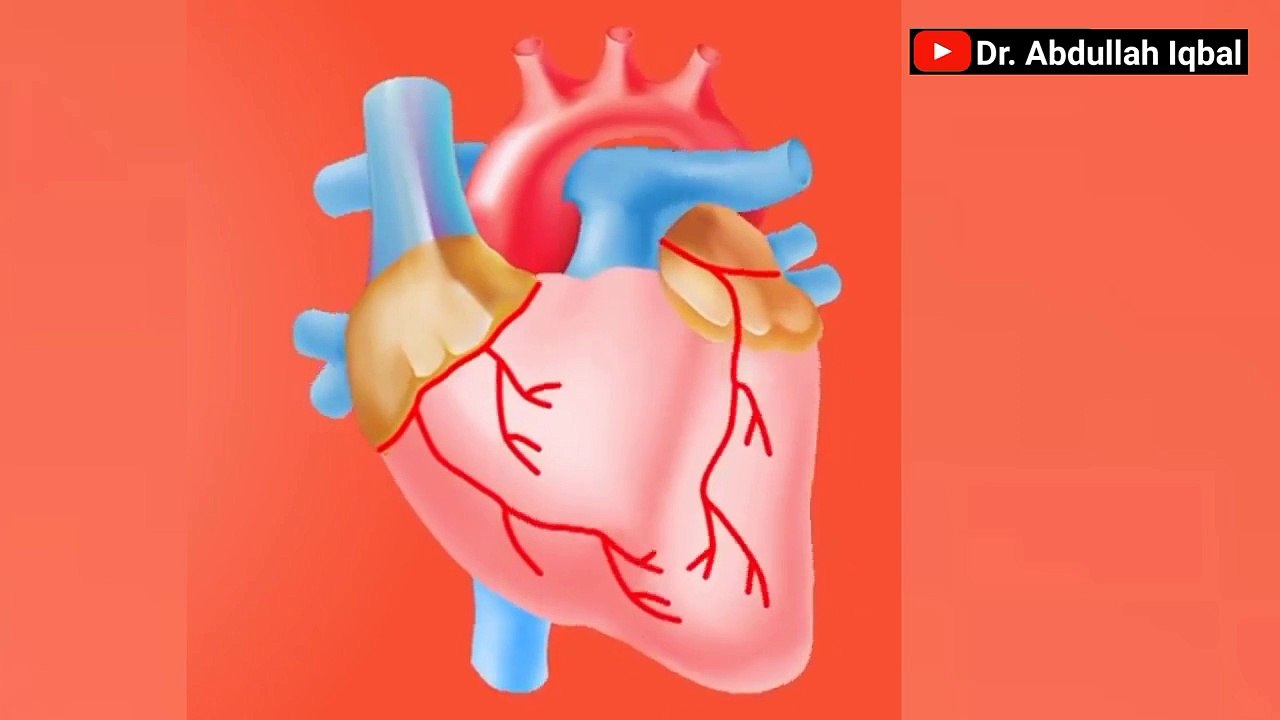 Thyroid ki Alamat _ Hyperthyroidism vs Hypothyroidism _ Thyroid Ka Test & Thyroi