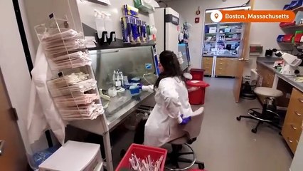 Yara ve hasarlı dokular için canlı minik robot üretildi