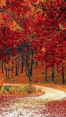 urdu sad poetry | Weird Stories