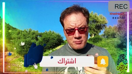الزوج المتدين والملتزم بالشر وكيف يعامل زوجته ؟ الخضراوي نورالدين