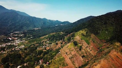 Trancing - Dave Osorio. Relaxing music