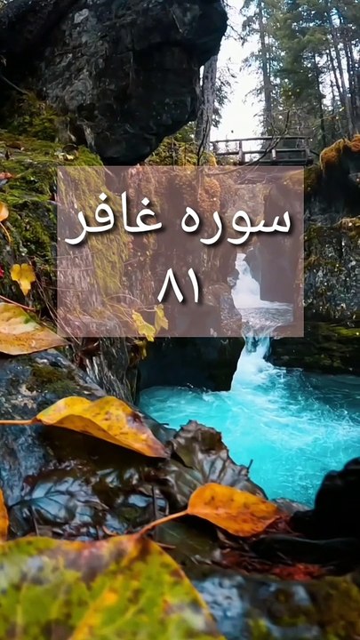 سورۃ غافر
