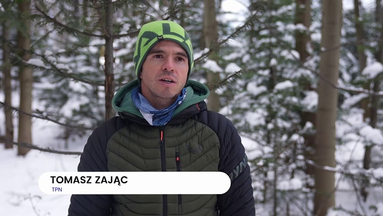 Tatrty - jak zwierzeta starają się przetrwać zimę w górach
