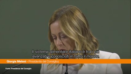 Meloni "Piano per fare prosperare l'agricoltura in Africa"