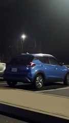 Canadian Couple Find Giant Crow Gathering