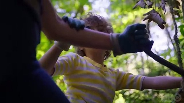 Trees, and Other Entanglements Bande-annonce VO