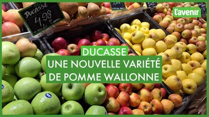 Ducasse, une nouvelle variété de pomme wallonne