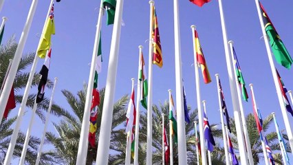 España y otros 133 países firman la 'Declaración sobre agricultura sostenible'
