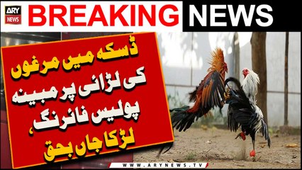 Daska Mein Murgon Ki Larai Par Mobayyana Police Firing, Larka Jaan Bahaq