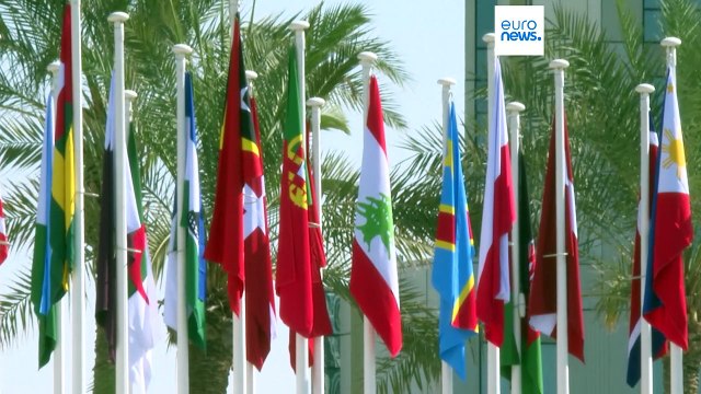 Cop28, Ursula von der Leyen a Dubai: mettere un prezzo al carbonio