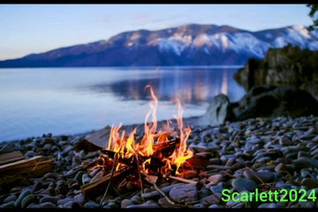 Relaxing Forest Sounds for Peaceful Mind 🌲