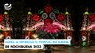 Llega a Reforma el Festival de Flores de Nochebuena 2023