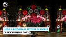 Llega a Reforma el Festival de Flores de Nochebuena 2023