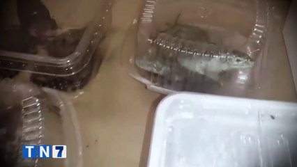 tn7-decomisos-aeropuerto-011223