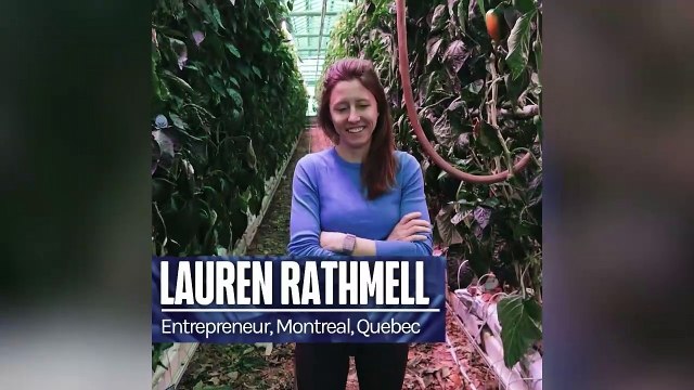 Sustainable agriculture in action: Urban rooftop greenhouses