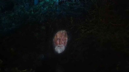 Así es el nuevo espectáculo de luz y sonido del Jardín Botánico de la Concepción de Málaga.